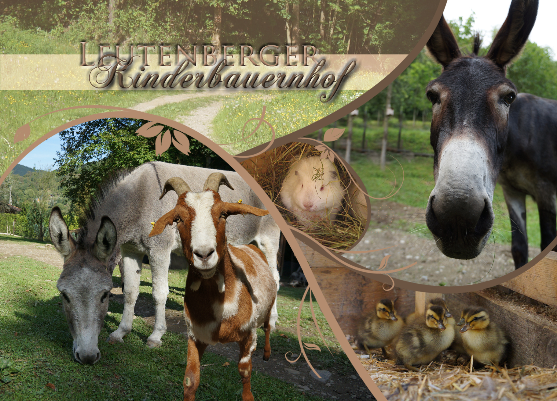 Featured image for “Der Kinderbauernhof”